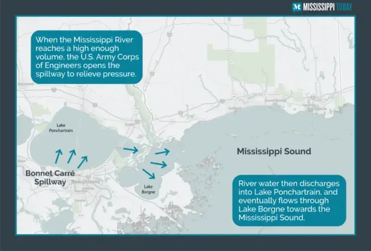 Map by Bethany Atkinson / Mississippi Today.<br />
