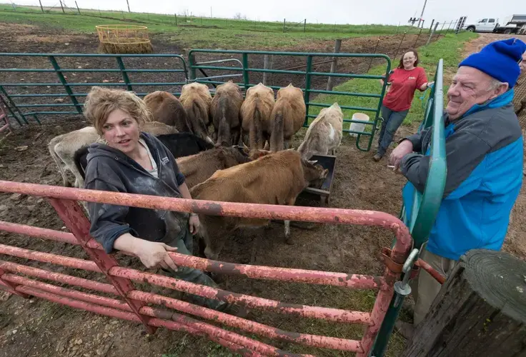 Emily Harris, from left, and her wife, Brandi Harris, talk with cattle buyer Ed Flood while their young livestock eats one last time before being loaded onto a trailer for transport to farms in Indiana and New York. Image by Mark Hoffman. United States, 2019.