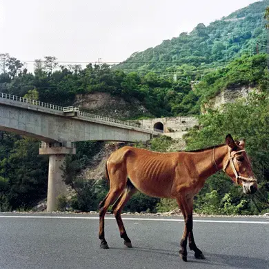 A railway bridge on the outskirts of Jammu. Image by Sara Hylton. Kashmir, 2017.<br />
