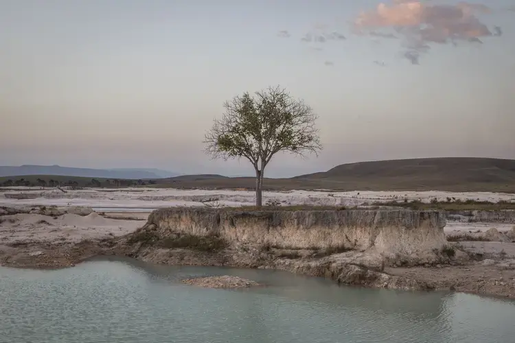 Campo Alegre is the largest mining area in Canaima National Park, located in the Gran Sabana, in the park’s eastern sector, in southeastern Venezuela. Image by Fabiola Ferrero. Venezuela, 2020.