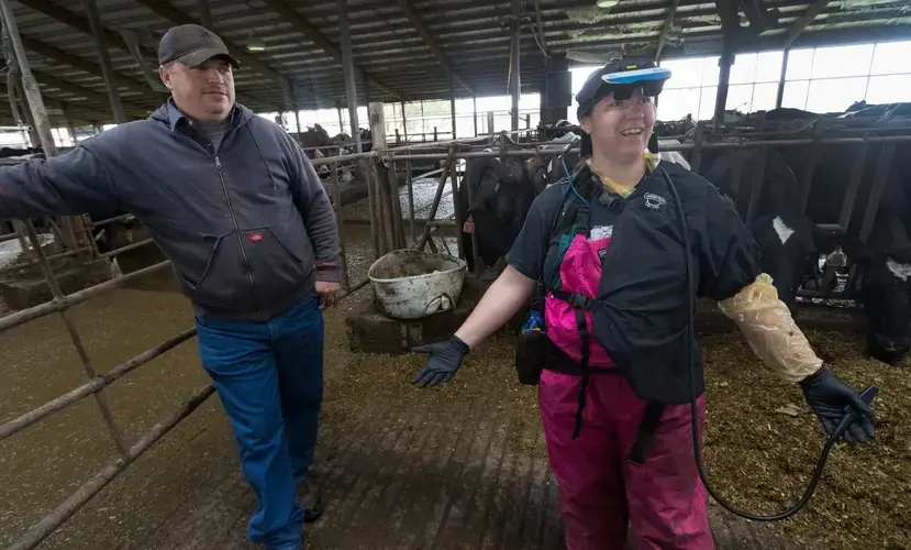 Veterinarian Lindley Reilly, right, and Quonset Farms owner Ben Hesselink talk before she starts fertility checks on about 80 cows at the farm in Oostburg. Reilly is wearing a viewer for an ultrasound device. Image by Mark Hoffman. United States, 2019.