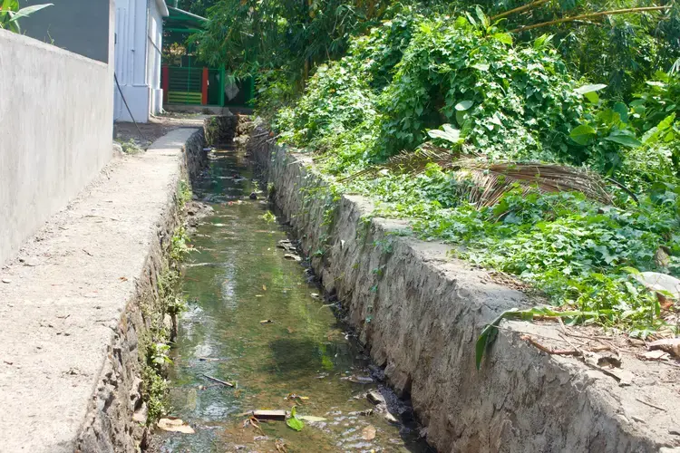 Many of the small canals of Alleppey have been encroached to make way for development, meaning some banks are unstable. Inspiration assisted with technological solutions to stabilize the banks of the canals to keep them from collapsing. Image by Katelyn Weisbrod. India, 2019.