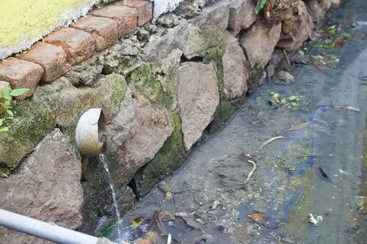 After water has been filtered through an aerobic digester in Chathanad Colony, it is drained into this canal, which leads to a wider main canal, and ultimately heads toward Vembanad Lake. Image by Katelyn Weisbrod. India, 2019.