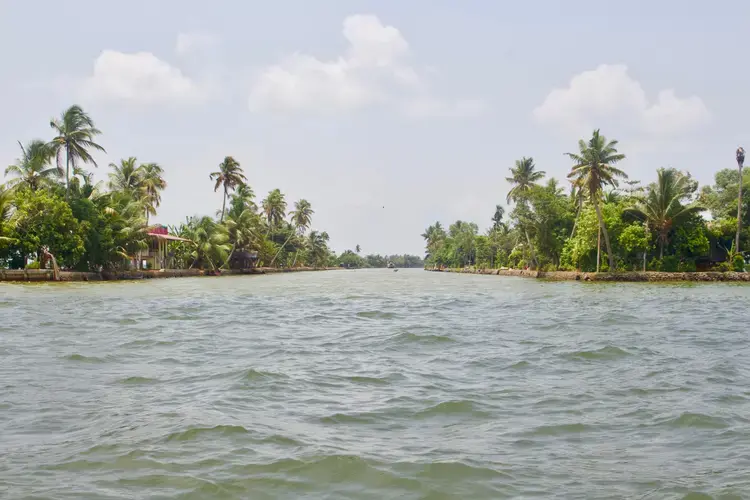 One of Alleppey’s main canals flows toward Vembanad Lake. Image by Katelyn Weisbrod. India, 2019.