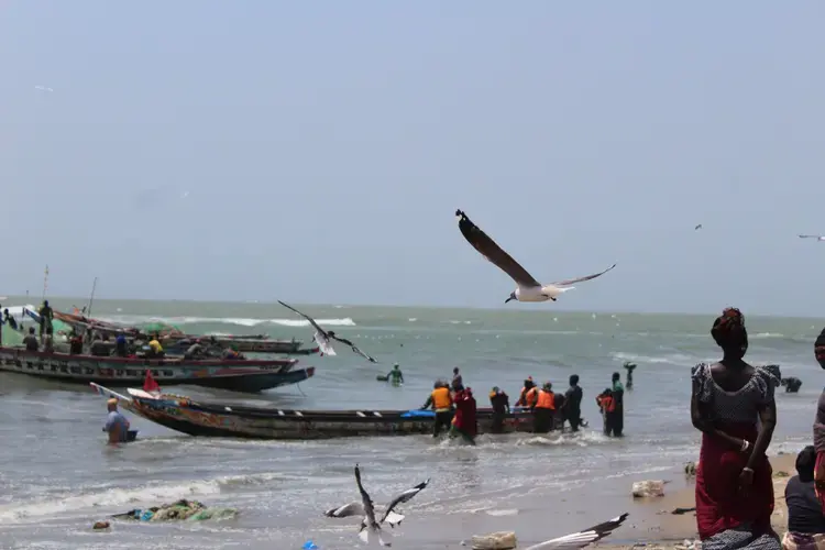 Tanji fishing village beach. Image by Nosmot Gbadamosi. The Gambia, 2018.