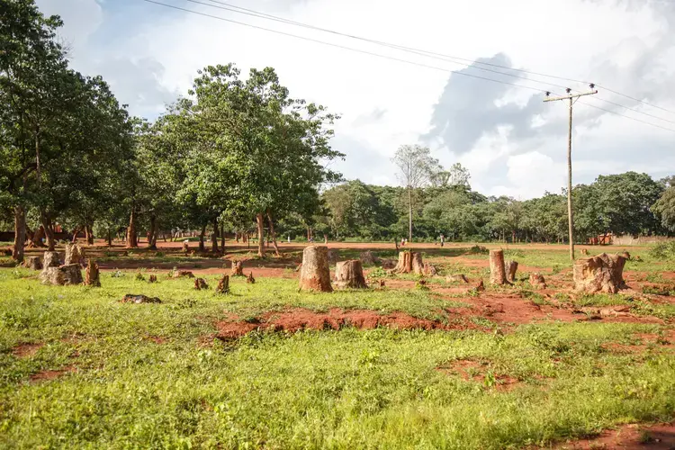 Less than 10 per cent of Malawians have access to the country’s unreliable electricity network. Image by Nathalie Bertrams. Malawi, 2017.