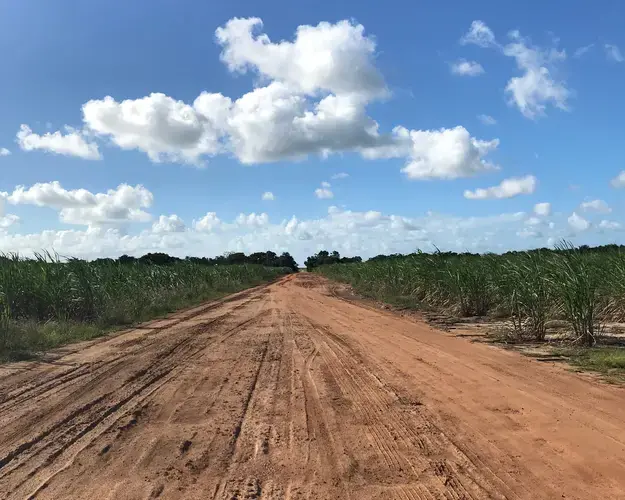 Sugarcane fields are already a staple on the path that leads to the Indigenous village of Catu—a symbol of the agribusiness' fast-paced encroachment into Indigenous territory. Image by Rafael Lima. Brazil, 2019.