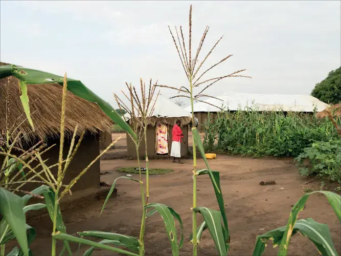 A woman walks out of her home in the Bidi Bidi settlement in northern Uganda. She arrived in Uganda in 2016 from South Sudan. Her village in South Sudan was attacked, her husband was shot outside of their door, and she was raped by at least seven soldiers in her home, she said. She discovered that she had HIV when she reached Uganda.