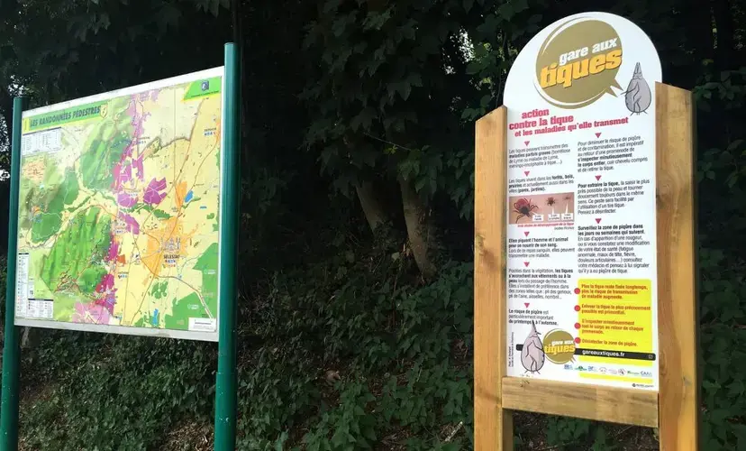 One of the new French signs warning of ticks at forest trailheads. Image by David Scales/WBUR. France, 2017.