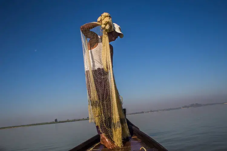 U Maung Lay is one of a few dozen fishermen on the Irrawaddy River who still work with Irrawaddy dolphins. The dolphins help herd fish into the fishermen’s nets. Image by Minzayar Oo. Myanmar, 2017.