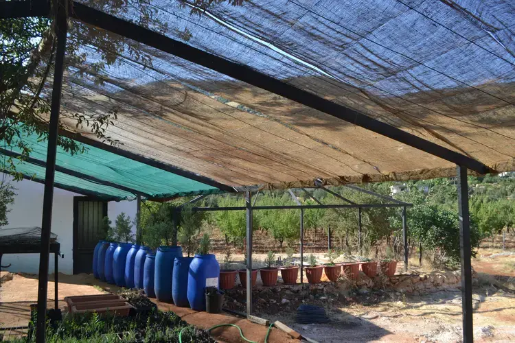 The nursery in Berqa is the only one in Lebanon dedicated to junipers. Image by Catherine Cartier. Lebanon, 2019.<br />
