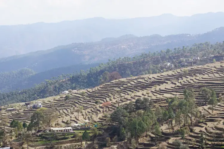 Water shortage in Uttarakhand has made farming even trickier on the slopes. Image by Esha Chhabra. India, 2017.