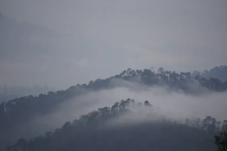 Once dense oak forests, the hills have seen a change in their ecology, which is making farming harder and putting a greater burden on the ecosystem. Image by Esha Chhabra. India, 2017.