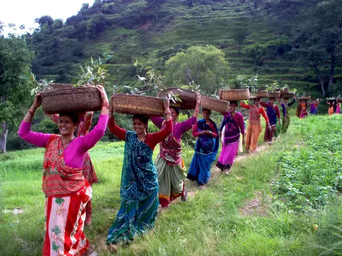 Members of the Mahila Umang Producer Co. work collectively to increase the value of their farm produce. Image courtesy Kaylan Paul. India.