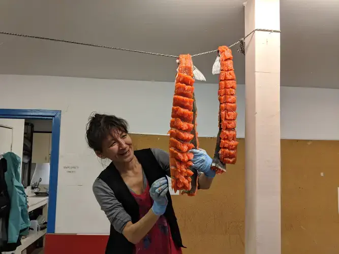 Sheila Veevee prepares arctic char that was donated by a local hunter to the Pangnirtung Soup Kitchen. Image by Julie De Meulemeester. Canada, 2018.