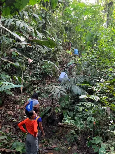 Near primary forest in Puerto Quito, Ecuador. Image by Ayanna Dickinson. Ecuador, 2019.
