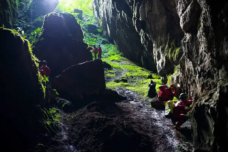 In a survey of Santander in northeastern Colombia, scientists explore one of the mountainous region's many caves. Image by Felipe Villegas / Colciencias / Humboldt Institute. Colombia, 2017. 