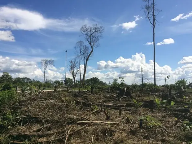 Recent deforestation outside El Retorno in Guaviare, Colombia. Image by Lisa Palmer. Colombia, 2017.