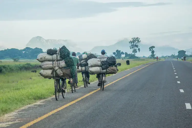 The illegal charcoal trade is currently the country’s third largest industry, after tobacco and tea. Image by Nathalie Bertrams. Malawi, 2017.