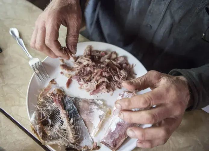 Duane Hanson de-bones a smoked fish for lunch at his homestead in T5 R7 in the Unorganized Territories on Sept. 17, 2019. Image by Michael G. Seamans. United States, 2019.