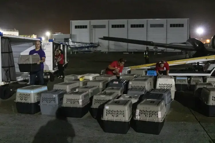 Volunteers work to unload the crates off the cargo train and next to the plane, separating them by size and weight, before loading them onto the airplane. Image by Jamie Holt. United States, 2019.<br />
