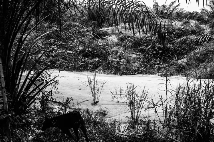 Image by Xyza Cruz Bacani. Indonesia, 2018.