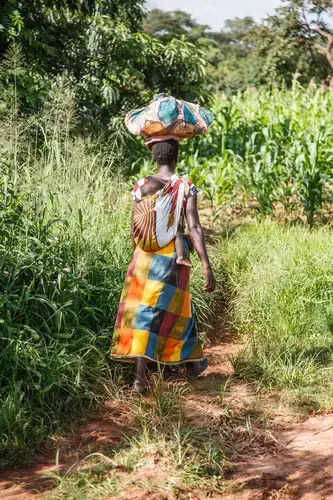 Rural women play a key role in supporting their households in food security, generating income and improving livelihoods. Image by Nathalie Bertrams. Malawi, 2017.