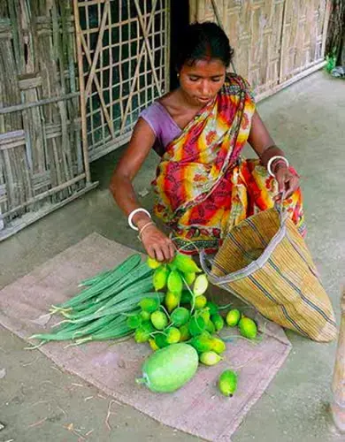 Suchitra Dey selling fruits and vegetables at the local market. Image courtesy Landesa. India.