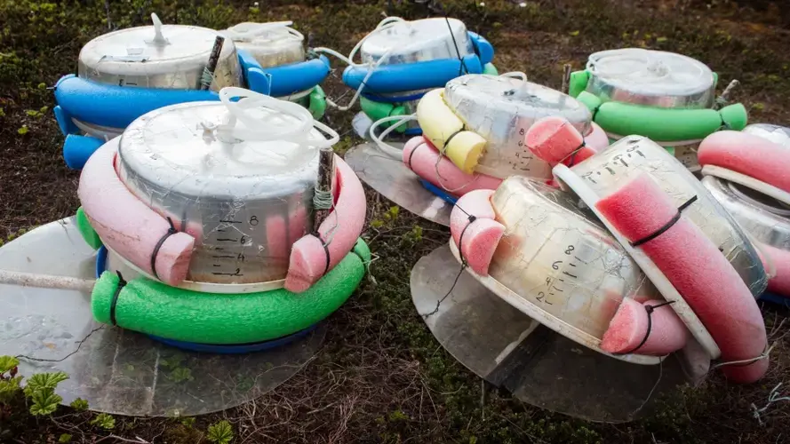 Scientists often make their own instruments in the field, like these methane traps, which are made with pool noodles. 'So we got a whole box of those ... it's kind of weird when you buy them,' says Joachim Jansen, a PhD candidate at Stockholm University. Image by Amy Martin. Sweden, 2018.