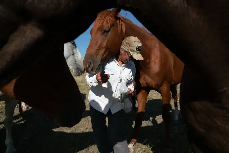 Conni is surrounded by horses as she goes about her daily chores on the cattle ranch. 'I see them coming in with big money, buying up ranches and walking over the top of the people who are already here,' she says. Image by Claire Harbage / NPR. United States, 2019.