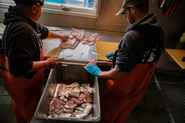 Fishermen Darryl Herman, left, and Dryden Schade process a catch at Carlson's Fishery at Fishtown in Leland, Michigan, on Oct. 1, 2020. Image by Zbigniew Bzdak/Chicago Tribune. United States, 2020.