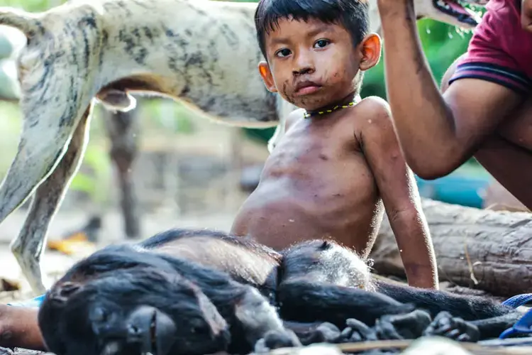 Bernardino’s youngest child. The Campo Branco village tuxaua (leader), believes that the Sateré need their Mariaquã ancestral lands to sustainably support a growing population. Image by Matheus Manfredini. Brazil, 2019.