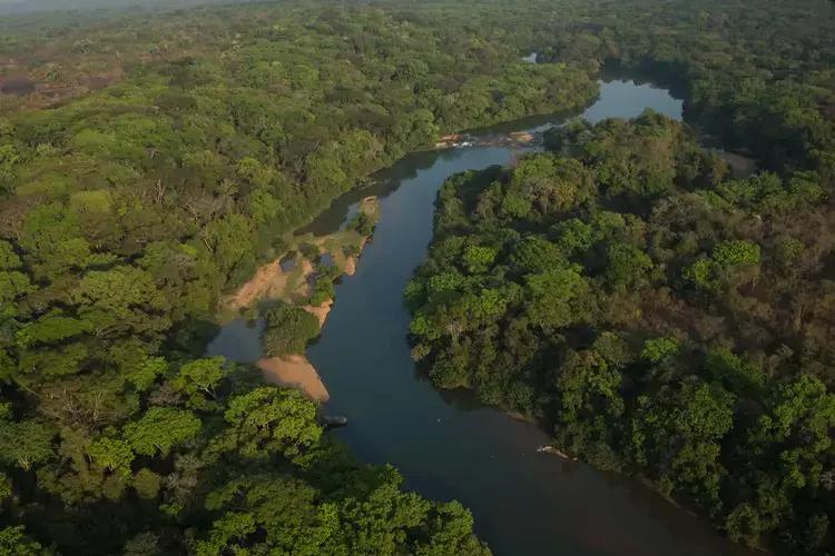 The Chinko reserve in the Central African Republic is almost twice the size of Yellowstone national park in the US. Image by Jack Losh. Central African Republic, 2018.