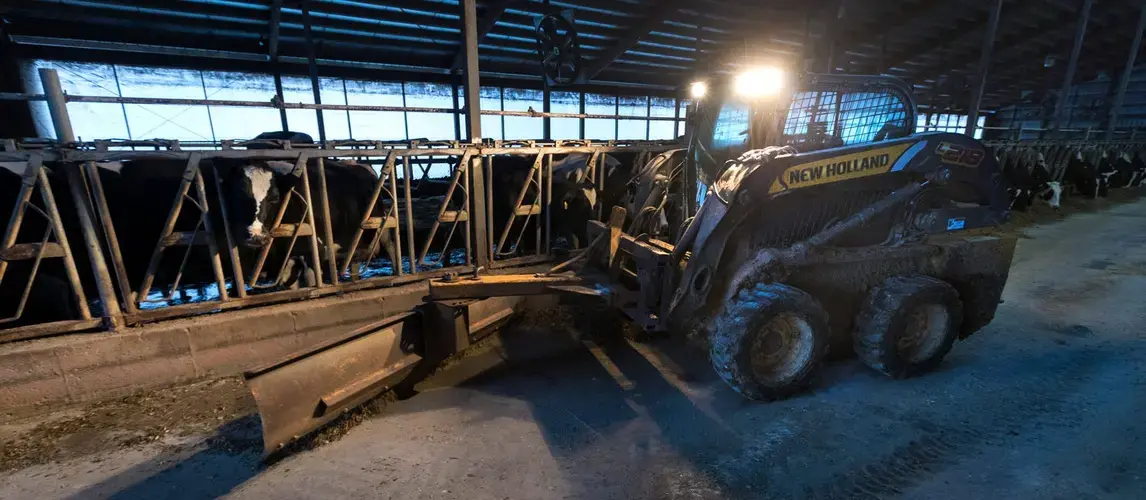 One of three of Paul Jereczek's part-time employees pushes feed for dairy cows on the family farm in the Trempealeau County village of Dodge, Wis. Image by Mark Hoffman. United States, 2019.