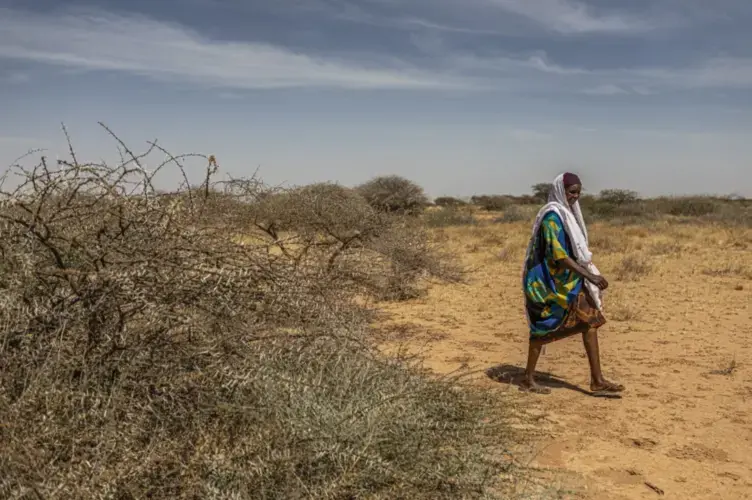 Faisa Abdi Alleh walks to her farm in Beer, Somalia, which was devastated by locusts. Image by Will Swanson / For The Times. Somalia, 2020.