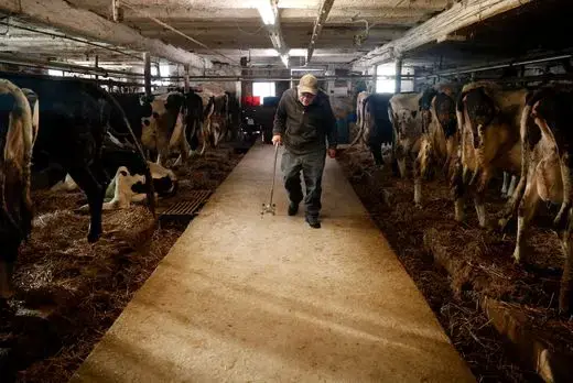 John Rieckmann, 79, walks into his barn to start morning chores Wednesday. Wisconsin, February 2019. Danny Damiani/USA TODAY NETWORK.