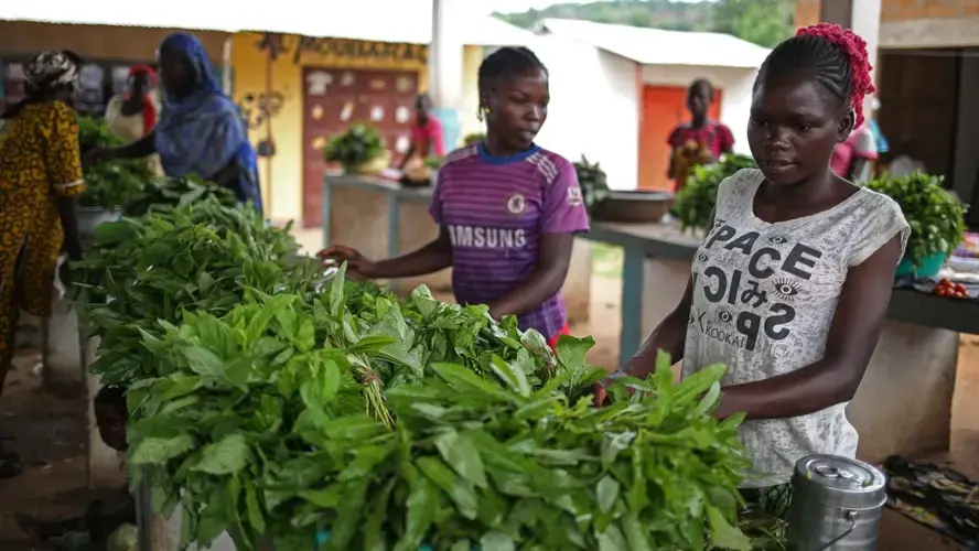 Ndele's bustling market is filled with merchants selling cassava, onions and herbs. The smell of roasting beef and dried fish fills the air. Image by Cassandra Vinograd. Central African Republic, 2017.