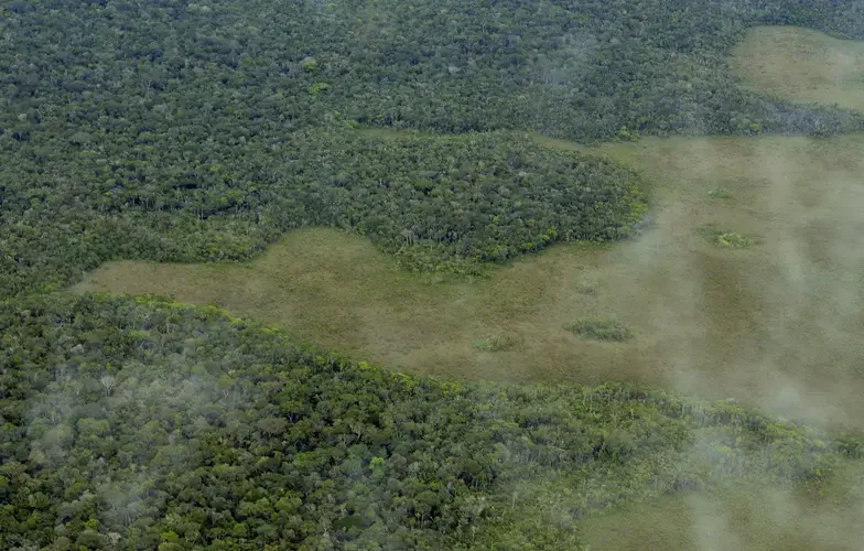 Aerial view of the Amazon Rainforest, near Manaus, the capital of the Brazilian state of Amazonas. Image courtesy Neil Palmer/CIAT/CC BY-SA 2.0. Brazil, 2011.