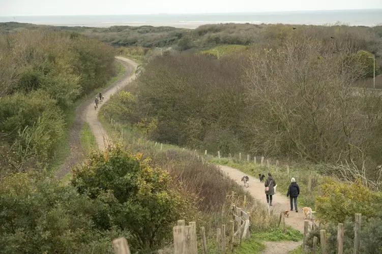 People walk on a trail to the Sand Motor beach in South Holland, the Netherlands. Image by Chris Granger. Netherlands, 2019.