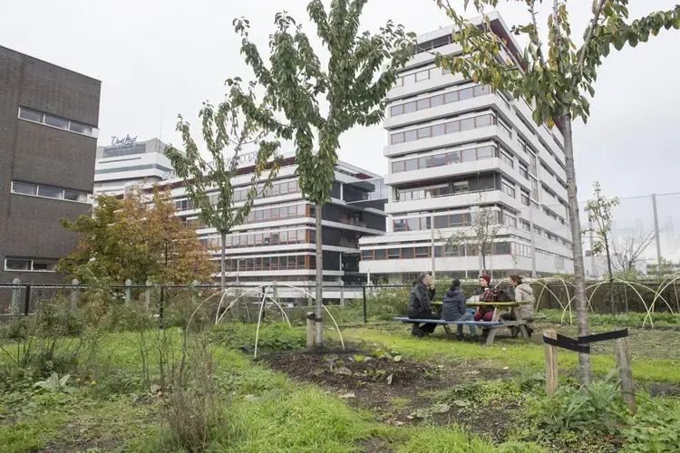 This orchard and community garden is actually on the roof of an old train station in Rotterdam, the Netherlands. Image by Chris Granger. Netherlands, 2019.