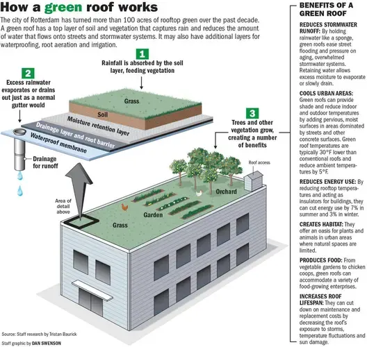 Image by Dan Swenson, Graphics Editor / NOLA.com | The Times-Picayune.