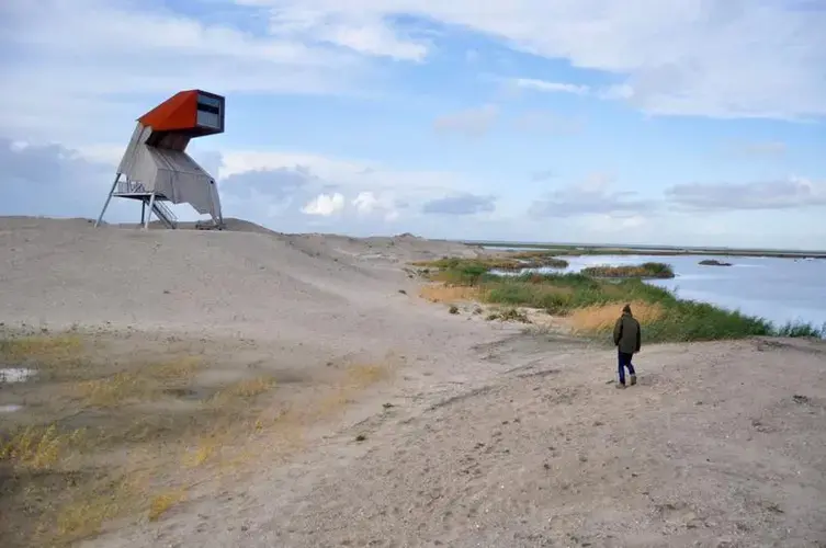 A wildlife-watching tower stands over a newly-built island in a lake near Amsterdam. The island is part of an ambitious restoration effort aimed at minimizing ecological damage caused by a nearby dam. Image by Tristan Baurick / Times-Picayune | The Advocate. The Netherlands, 2020.