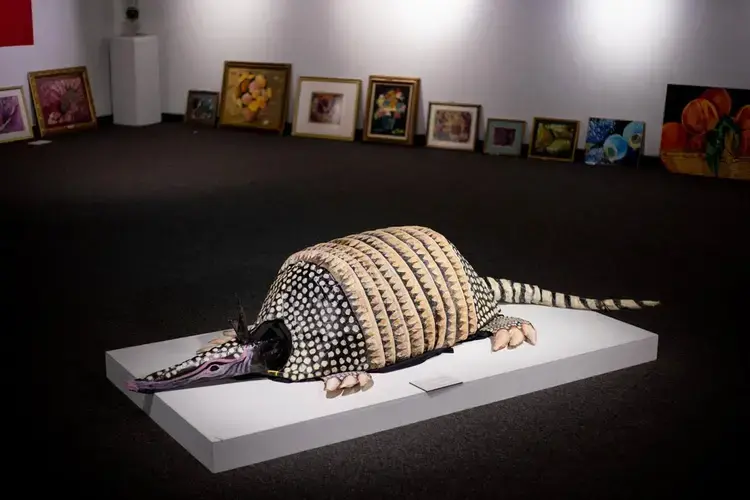 An armadillo puppet by artist Lisa Devon Barnes sits among art pieces from a continuing art exhibition on Thursday, July 16 at the SIU University Museum’s South Hall in Carbondale. Image by Brian Munoz. United States, 2020.