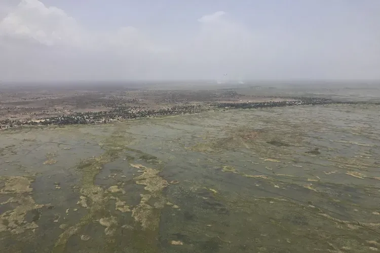 A helicopter view of the swamps in central South Sudan where people hide from government “counterinsurgency” raids. Image by Jane Ferguson. South Sudan, 2017.