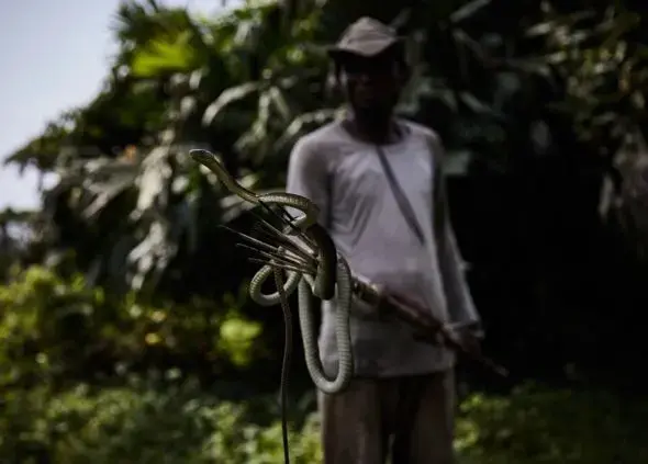 Congo, 2019. Image by Hugh Kinsella Cunningham.