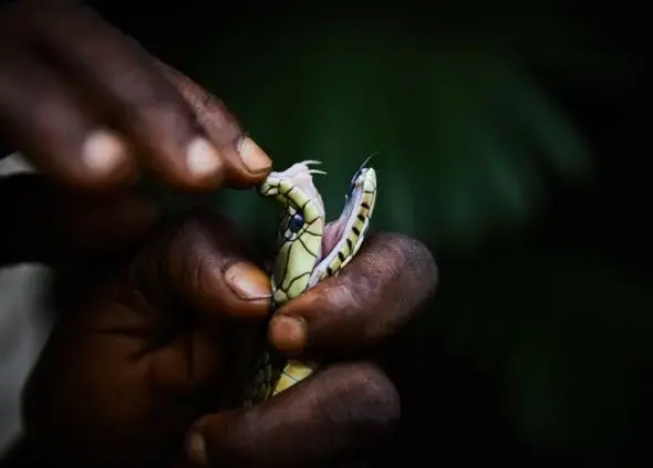 Congo, 2019. Image by Hugh Kinsella Cunningham.