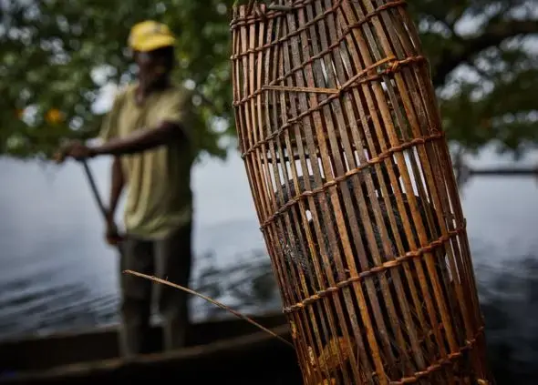 Congo, 2019. Image by Hugh Kinsella Cunningham.