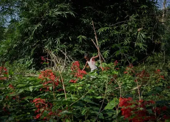 Congo, 2019. Image by Hugh Kinsella Cunningham.