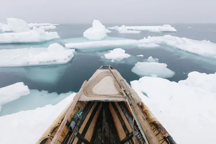 Traditional whaling is practiced in tune with the unpredictable weather of the Arctic. When wind pushes floating ice near the shorefast ice, the whalers must wait — somethimes for weeks — until it shifts again. Image by Kiliii Yuyan. United States, undated.