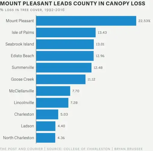 Source: College of Charleston. Graphic by Bryan Brussee/The Post and Courier.